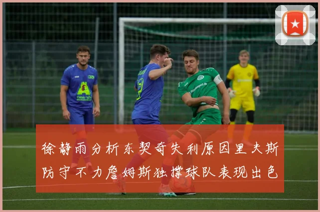 徐静雨分析东契奇失利原因里夫斯防守不力詹姆斯独撑球队表现出色