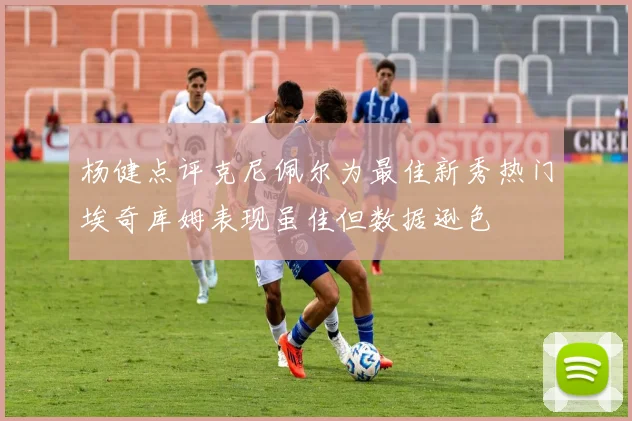 杨健点评克尼佩尔为最佳新秀热门埃奇库姆表现虽佳但数据逊色