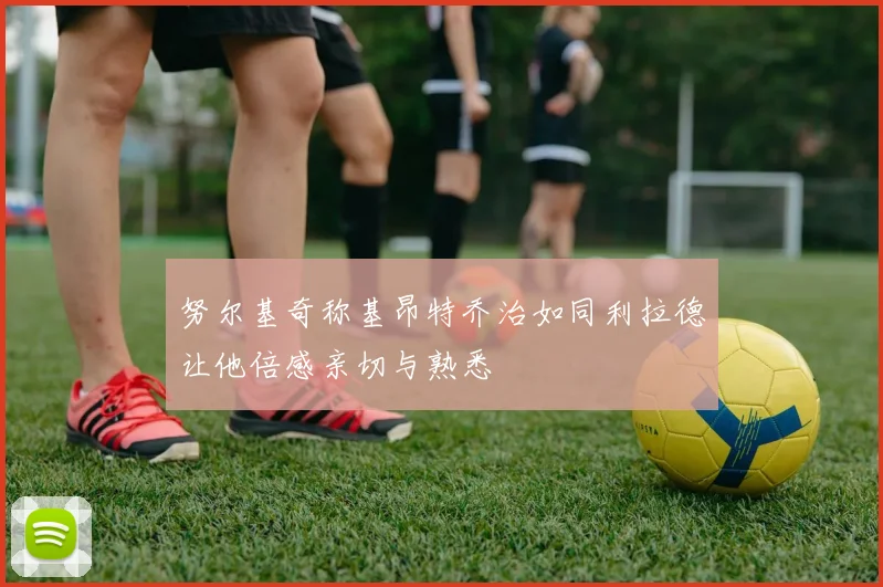 努尔基奇称基昂特乔治如同利拉德让他倍感亲切与熟悉