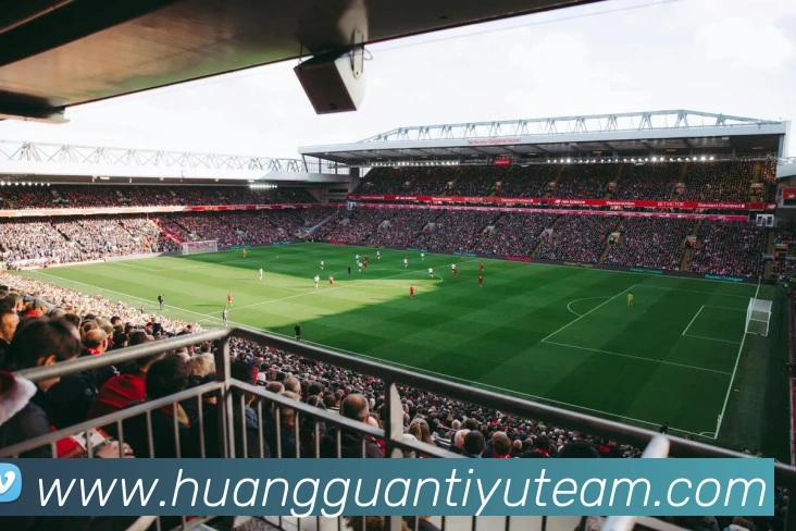 皇冠体育平台生态图