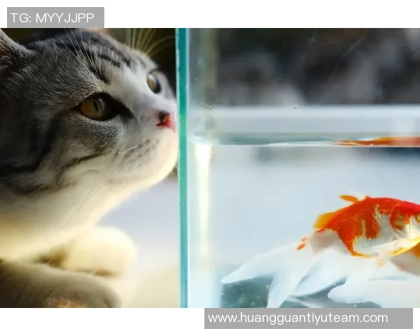 今日趣图:探讨鱼缸中的咸水鱼与淡水鱼共存的可能性与挑战 今日趣图:探讨鱼缸中的咸水鱼与淡水鱼共存的可能性与挑战